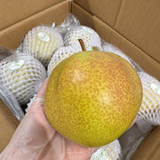 All Fruit at UMall Australia