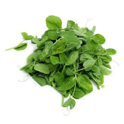 Herbs, Stems & Shoots at UMall Australia