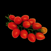 All Fruit at UMall Australia
