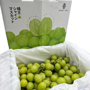 All Fruit at UMall Australia