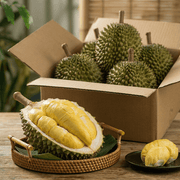 Best Sellers at UMall Australia