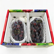 All Fruit at UMall Australia