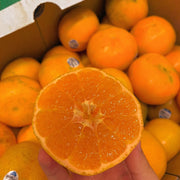 Tất cả trái cây at UMall Australia