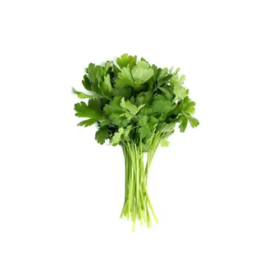 Parsley Continental Bunch