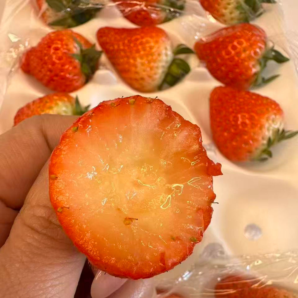 meijishu-pink-jade-high-sugar-strawberries-350g-box-1