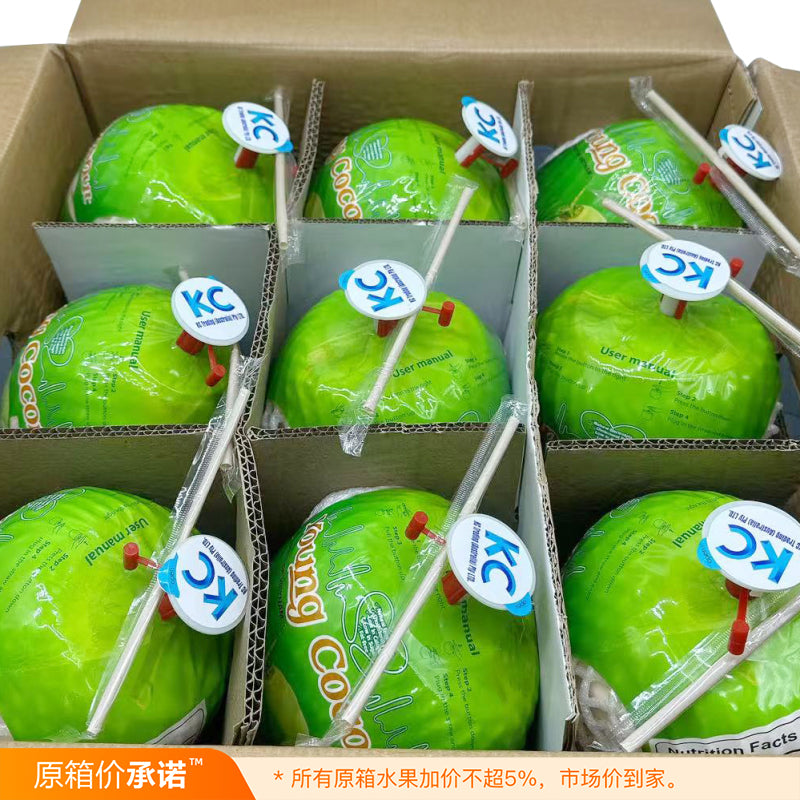 young-fresh-easy-open-young-coconuts-box-of-9-1