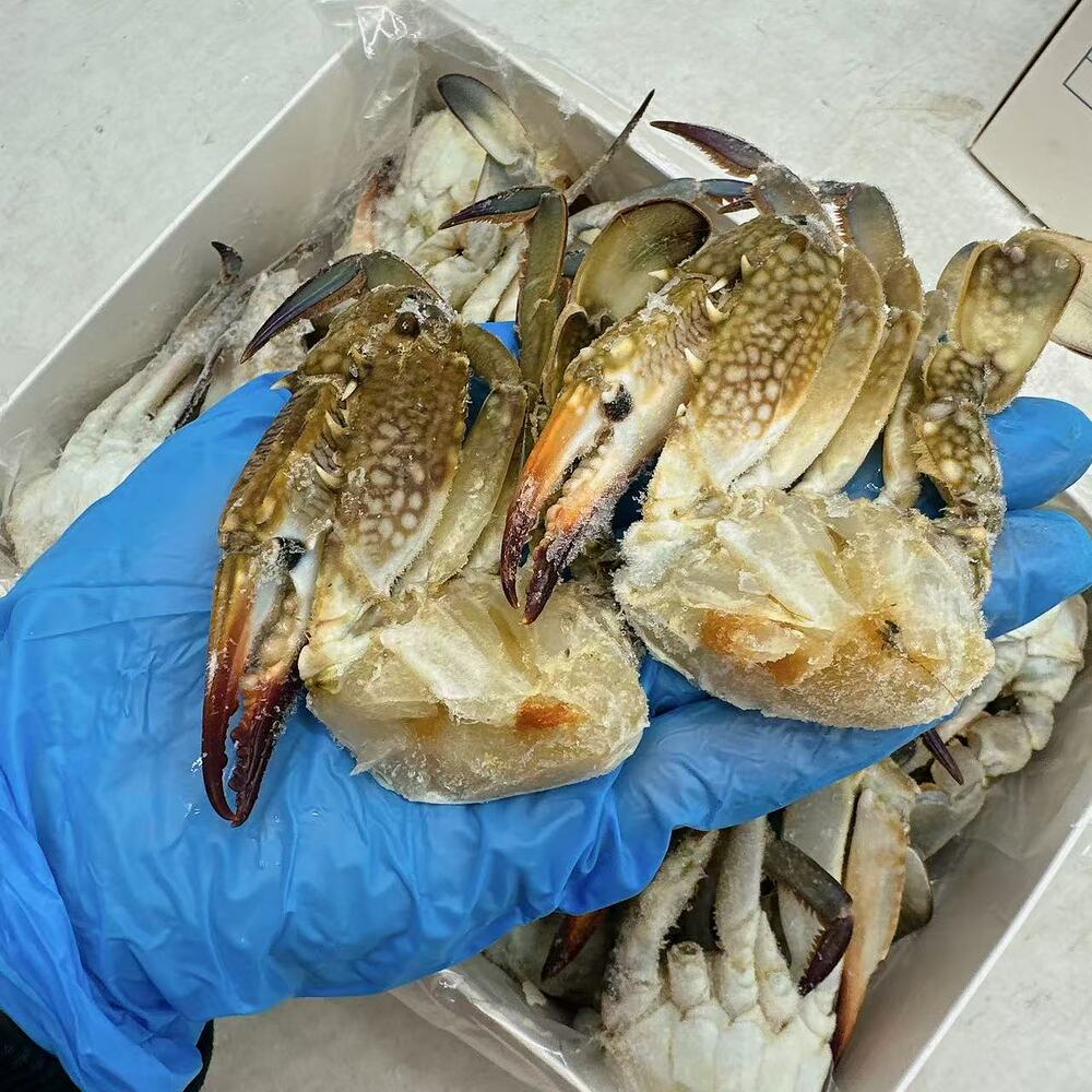 Pacific-Gourmet-Raw-Blue-Swimmer-Crab-Half-Cut-26/30-–-1kg-4