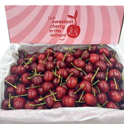 All Fruit at UMall Australia