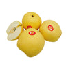 Lê sứ (Asian Pear) 1–1,1 kg – lê giòn mọng nước