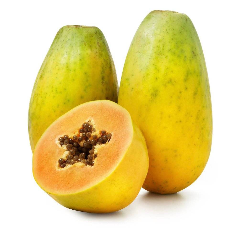 Kem Tuyết Dừa All Coco 1 ly – giải khát dừa tươi mát