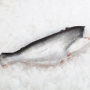 Catch of the Weekend at UMall Australia