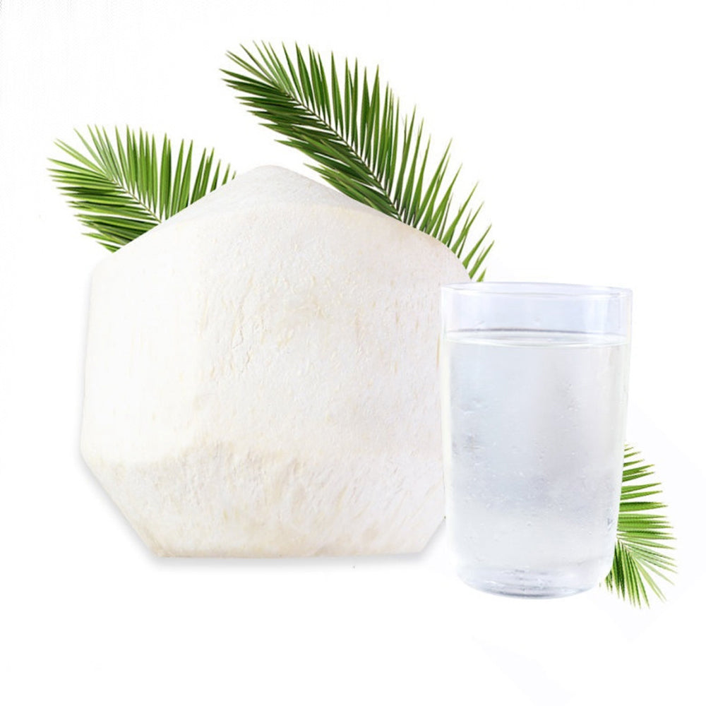 Dừa Non All Coco Snow Ball 1 ly – tráng miệng dừa thơm mát