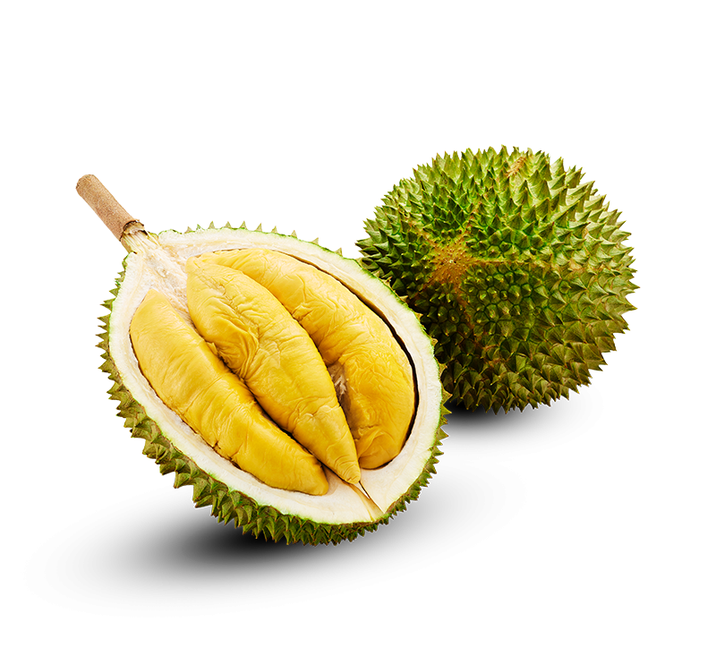 Sầu Riêng Musang King Đóng Lưới 1,2–1,3 kg – múi đông lạnh vàng mịn, vị béo ngậy