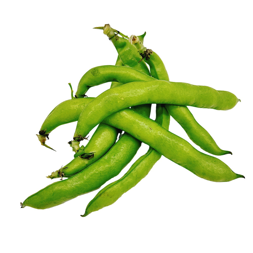 Đậu Fava (Đậu Tằm) 500 g – giàu protein, chế biến xào & hầm