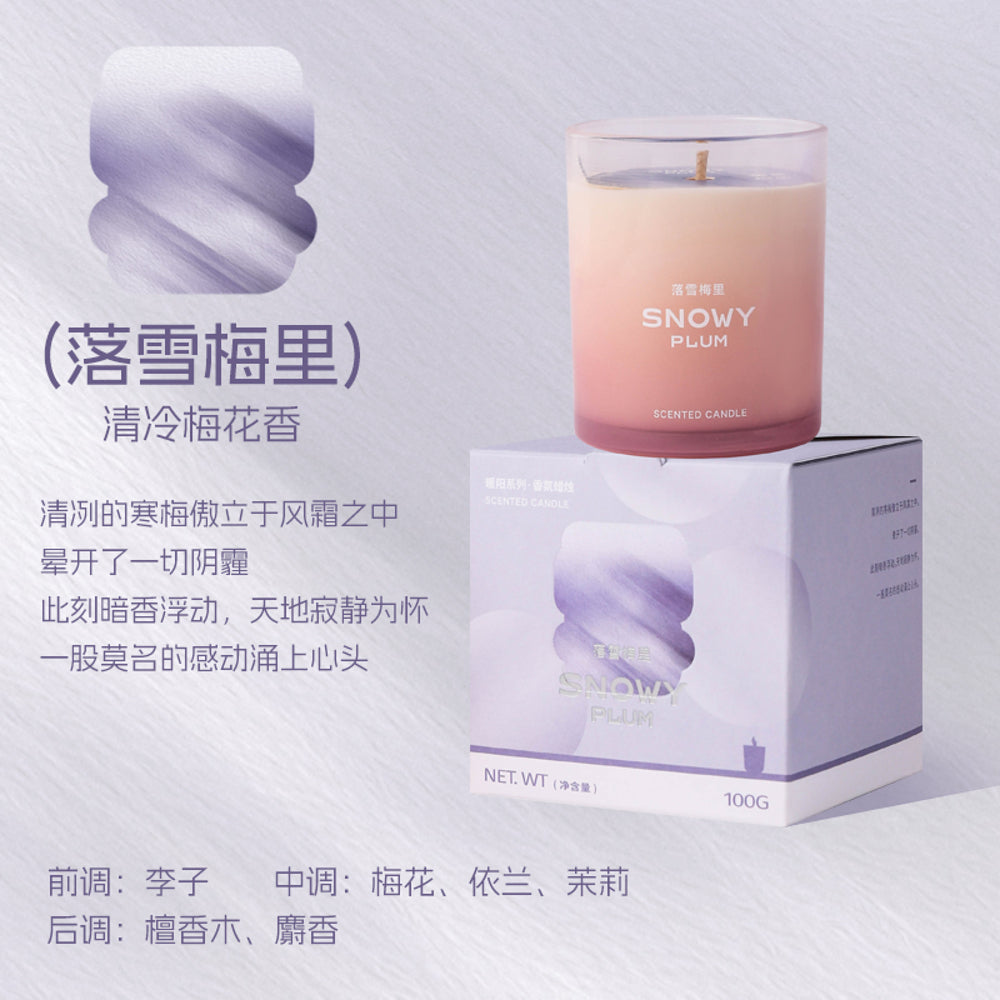 Airguard-Snowy-Plum-Aromatherapy-Scented-Candle-–-100g-1