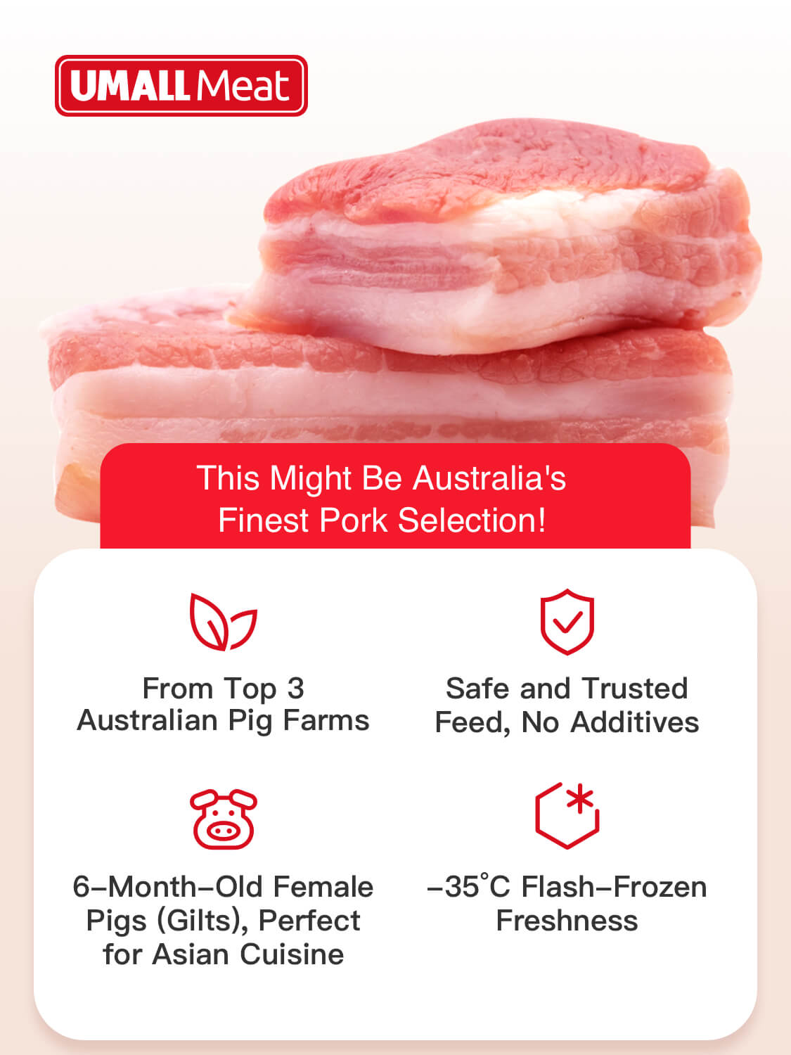 Pork Soft Bone 1kg