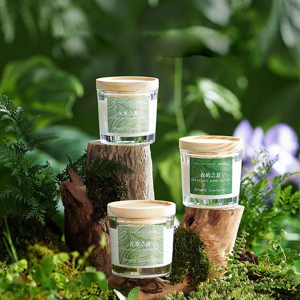 Nến Thơm Lifease Healing Forest 50 g – hương suối rừng thư thái