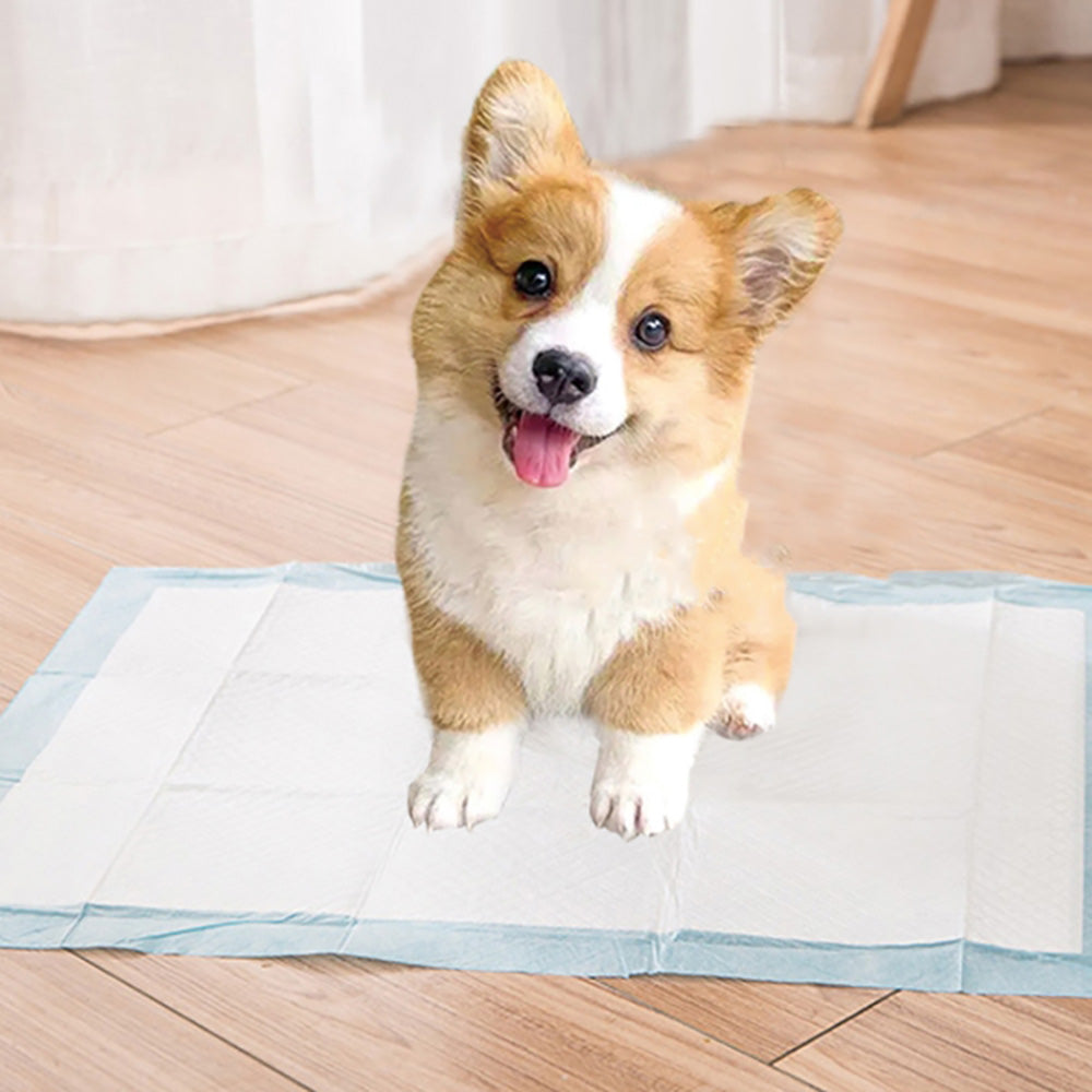 XL-Pet-Training-Pads-60x90cm---20-Pack-1