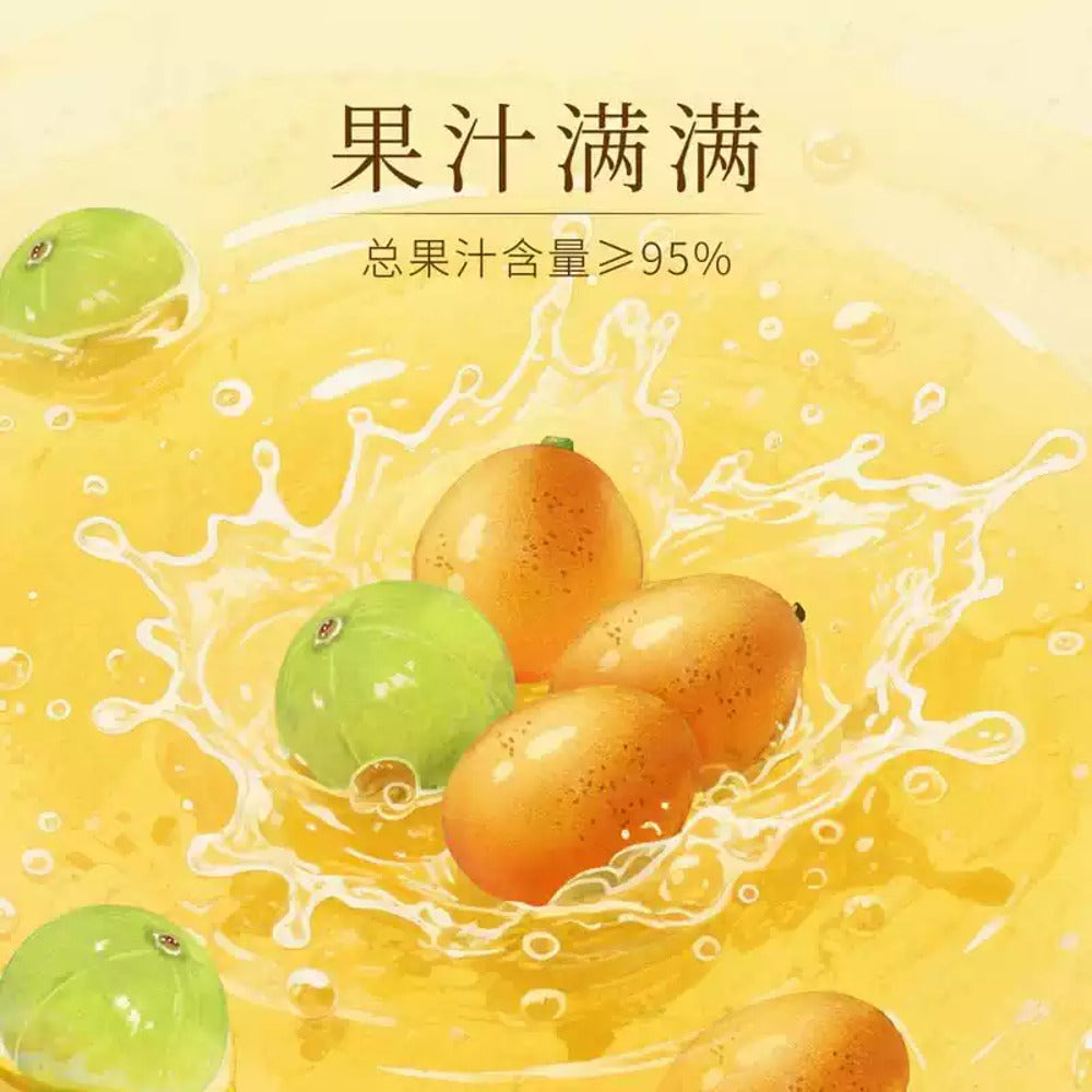 Drinksba-Huangpi-&-Yougan-Sparkling-Fruit-Juice-Tea-260ml-–-Limited-Import-2
