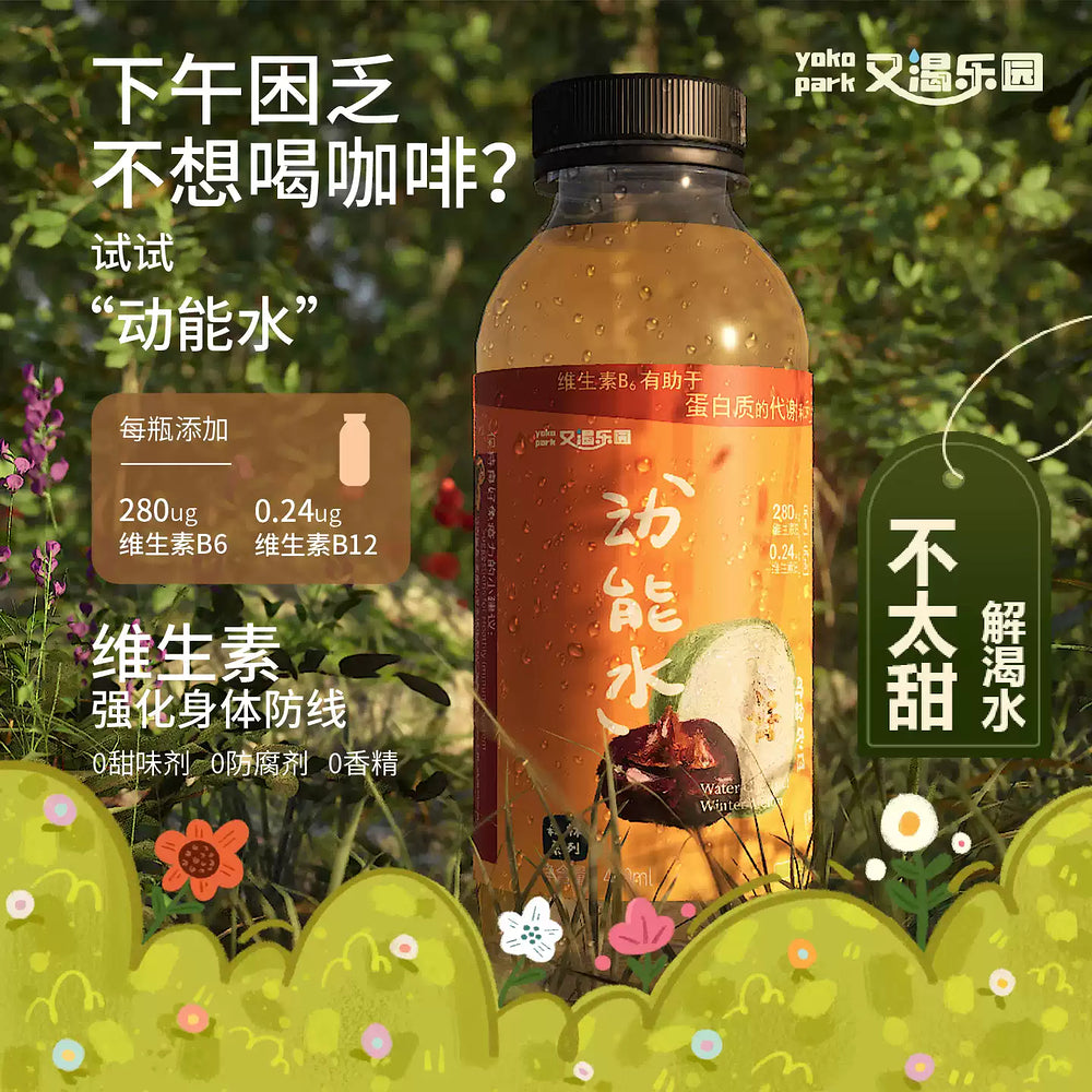 Youke-Leyuan-Winter-Melon-&-Water-Chestnut-Drink-–-400ml-x-12-Bottles-2