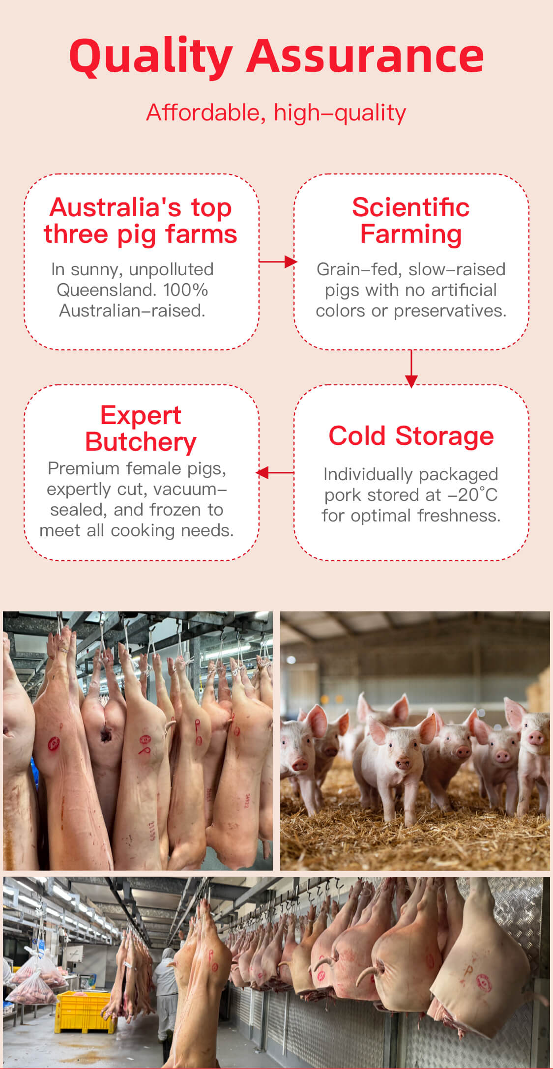 Pork Soft Bone 1kg
