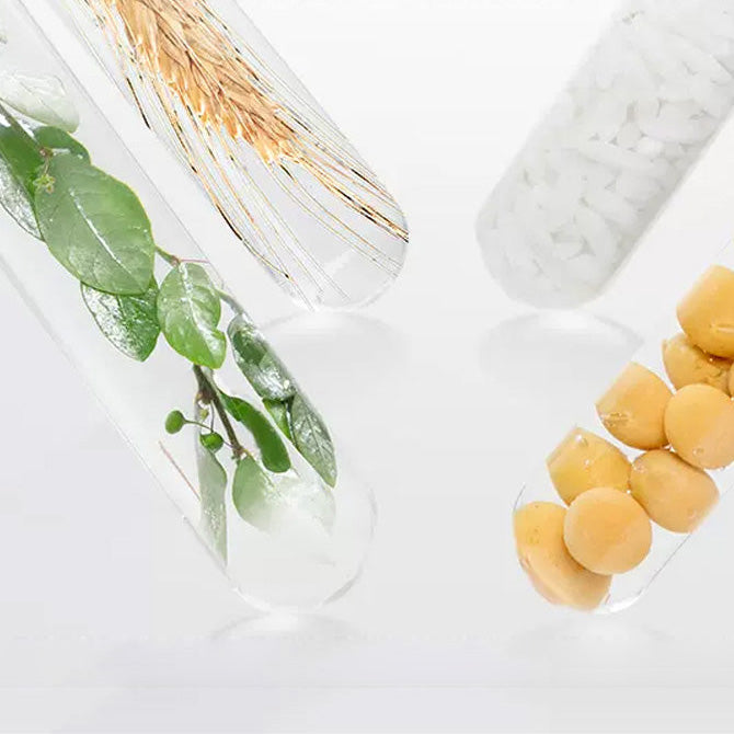 Khăn Ướt Sát Khuẩn Purcotton 75% Cồn 50 miếng – diệt khuẩn 99,9%, vệ sinh nhanh
