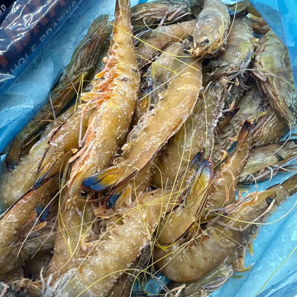 Tôm King Nguyên Con Tarni Brand 1 kg cỡ 16/20 – tôm sashimi Úc cao cấp