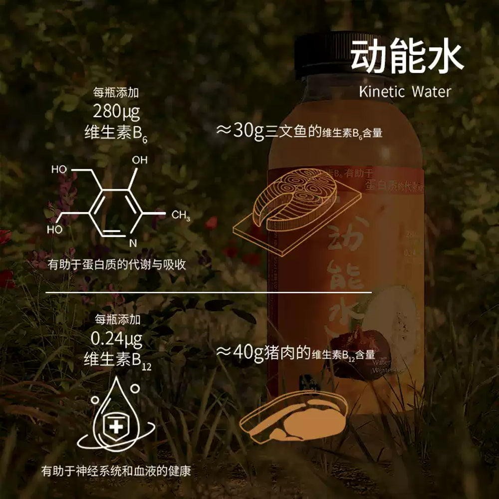 Youke-Leyuan-Winter-Melon-&-Water-Chestnut-Drink-–-400ml-x-12-Bottles-3