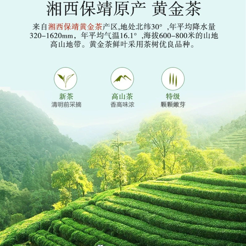 Cha-Share-Xiangxi-Golden-Tea-2025-First-Flush-–-Loose-Leaf-Chinese-Green-Tea-80g-3