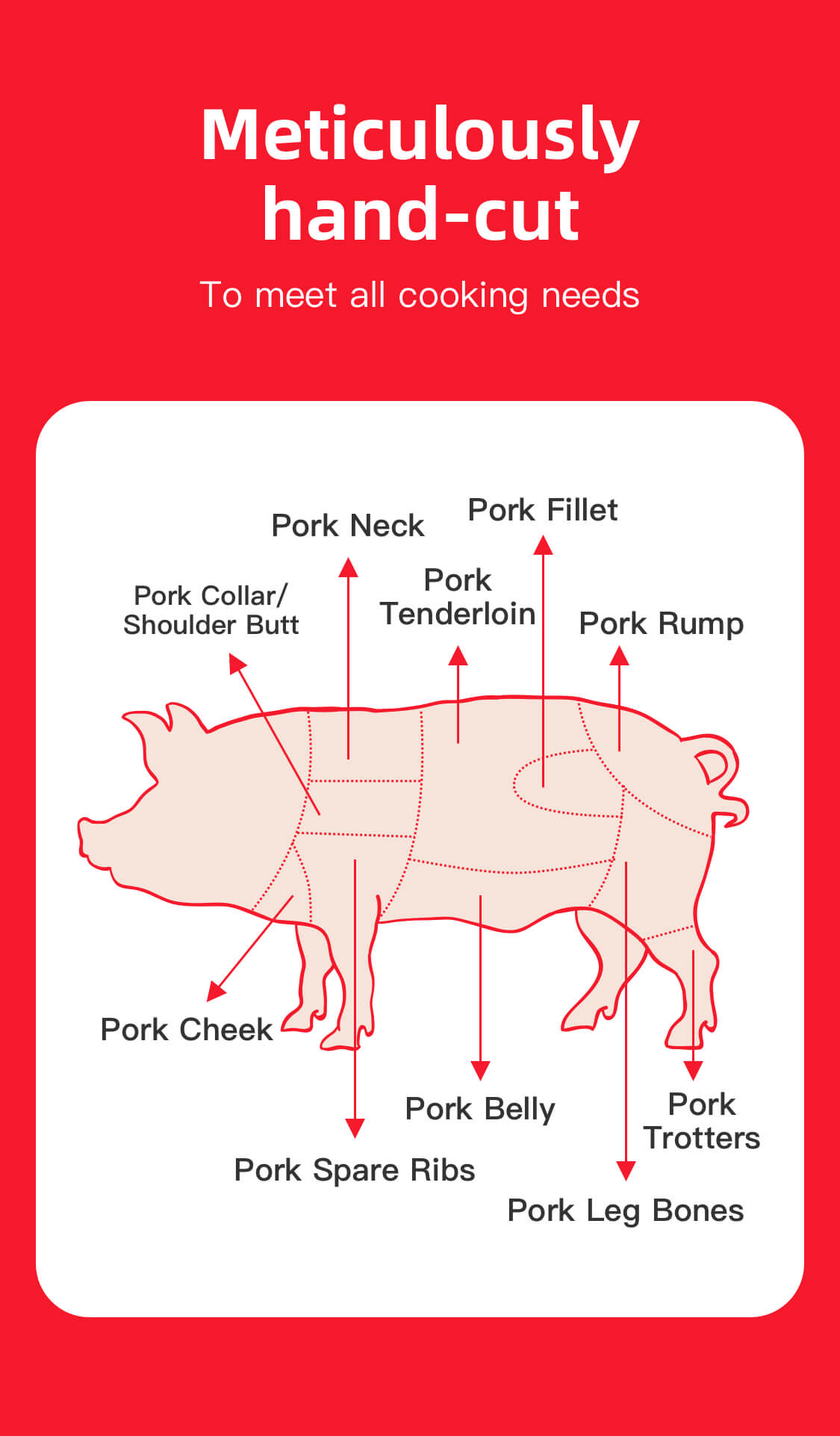 75% Lean Pork Mince 500g