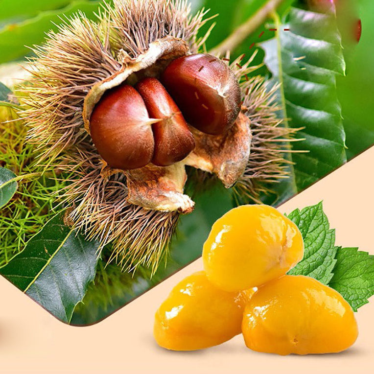 Hạt dẻ ngọt tách vỏ Bestore 100 g – snack hạt dẻ hấp sẵn, mềm dẻo