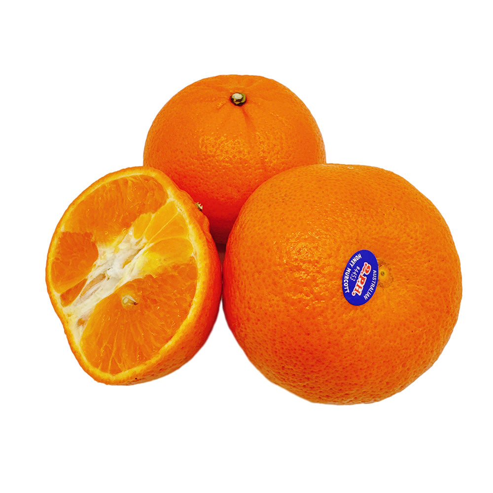 Quýt Murcott (Mikan) Úc 0,9–1 kg – trái to ngọt mọng, giàu vitamin C
