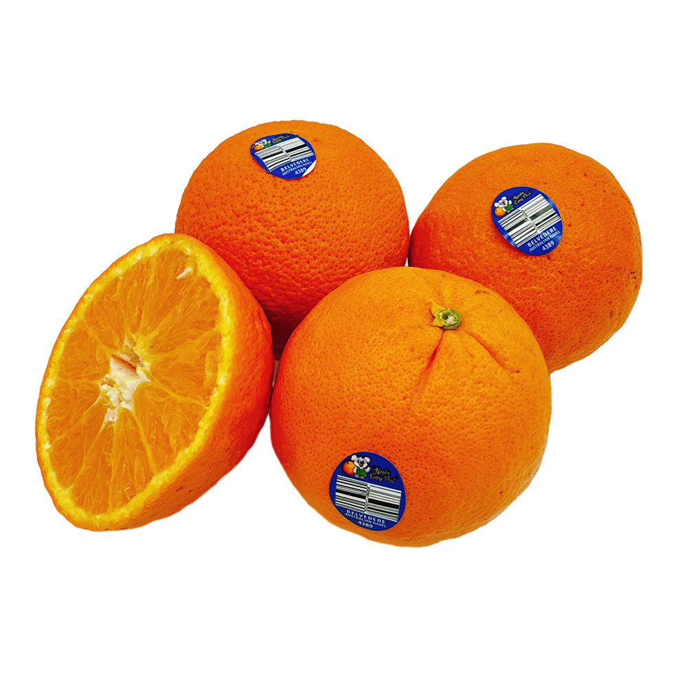 Cam Navel Koala Dễ Bóc 1 kg – cam Úc ngọt mọng, vỏ mỏng