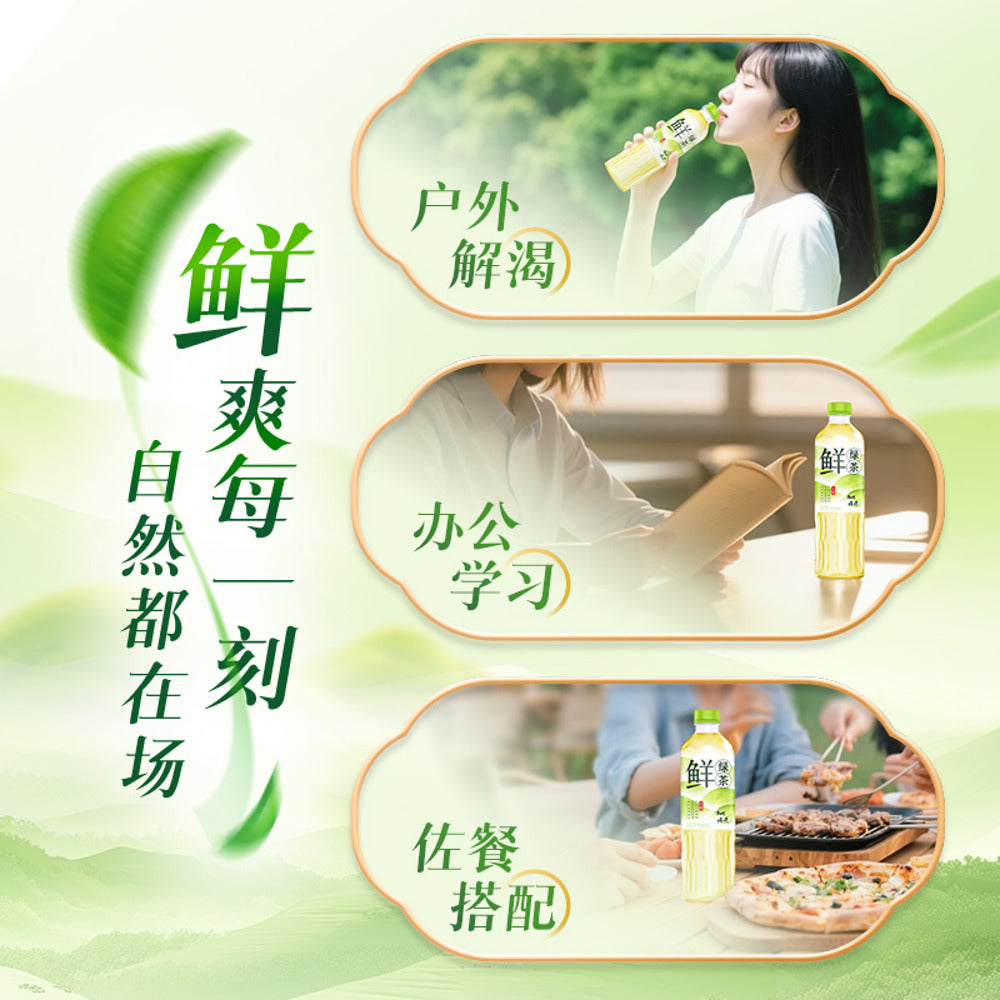 master-kong-fresh-sugar-free-green-tea-drink-500ml-4