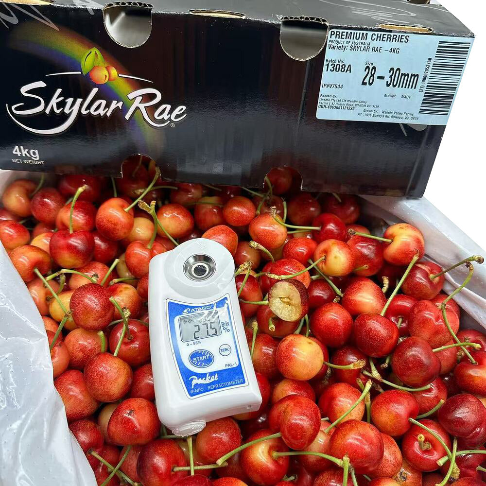 skylar-rae-premium-white-cherries-28-30mm-approx-500g-2
