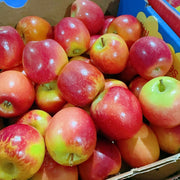 All Fruit at UMall Australia