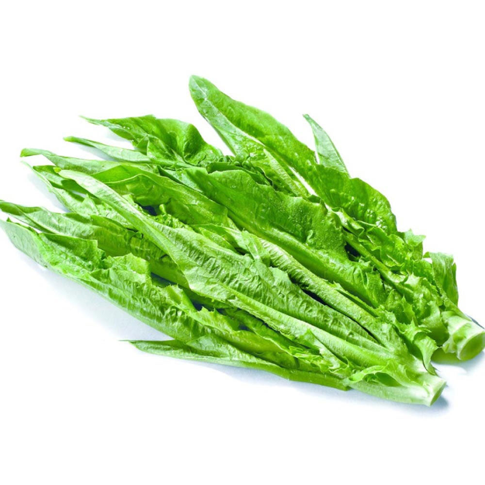 Rau Xà Lách Trung Quốc (A-choy) 1 bó – lá giòn, thơm, giàu chất xơ