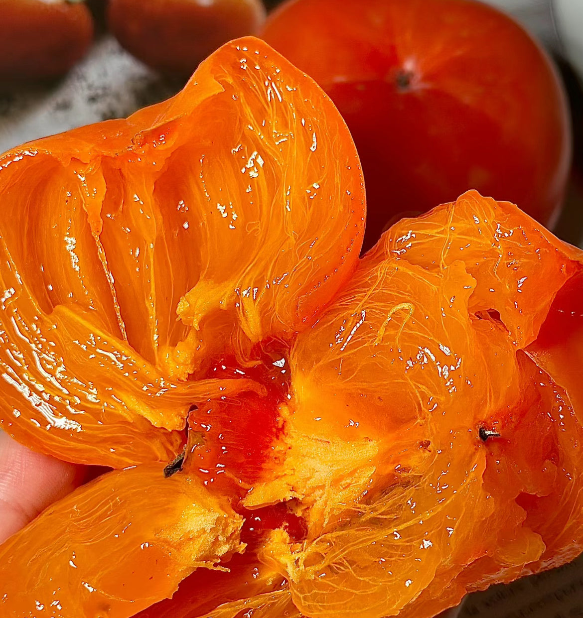 Soft-Persimmon---1-Piece-1