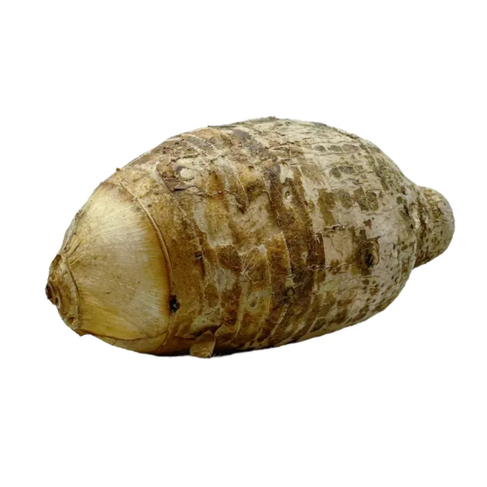 Khoai Môn (Taro) 1 kg – củ tươi nấu chè, xào & hấp