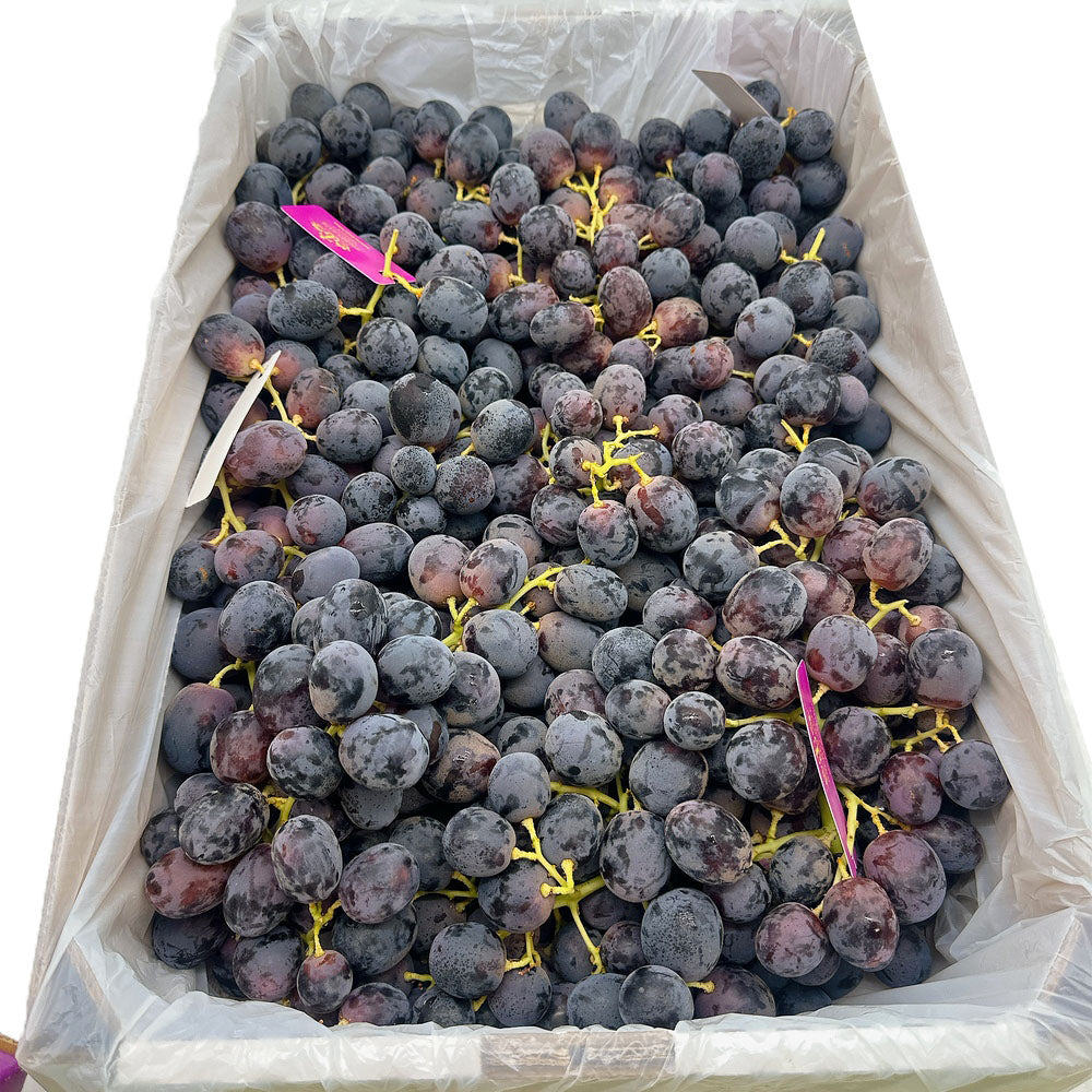 Australian-Adora-Black-Grapes-from-Golden-Gate-Farm---Box-of-9kg--1