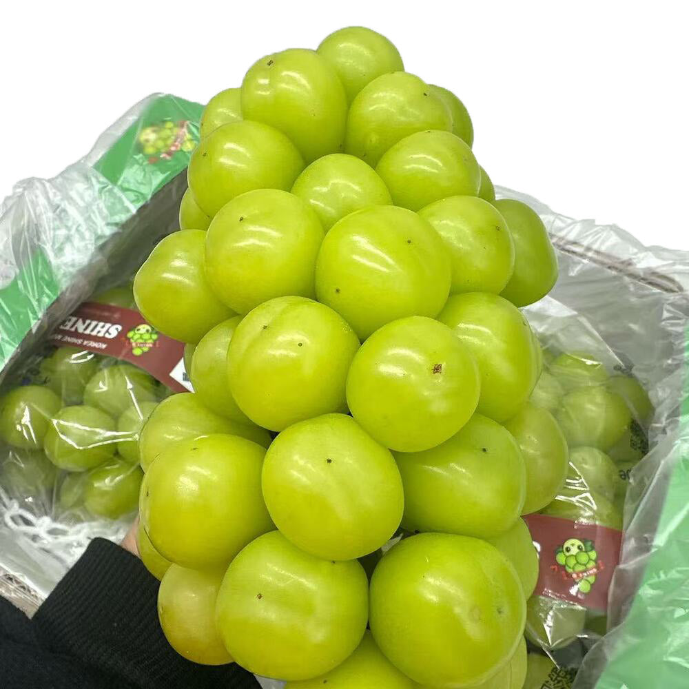 korean-premium-shine-muscat-grapes-gift-box-approx-2kg-seedless-green-grapes-1