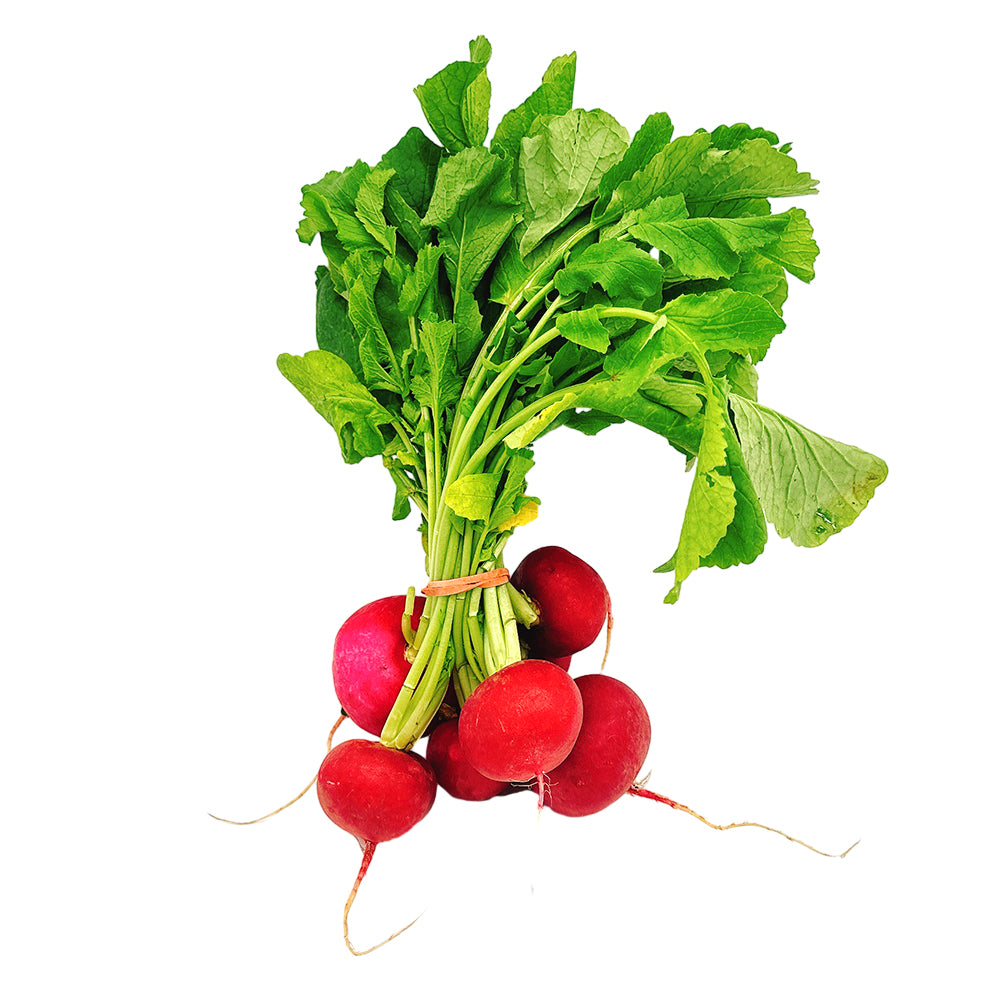 Củ Cải Đỏ (Radish) 1 bó – giòn ngọt, cay nhẹ