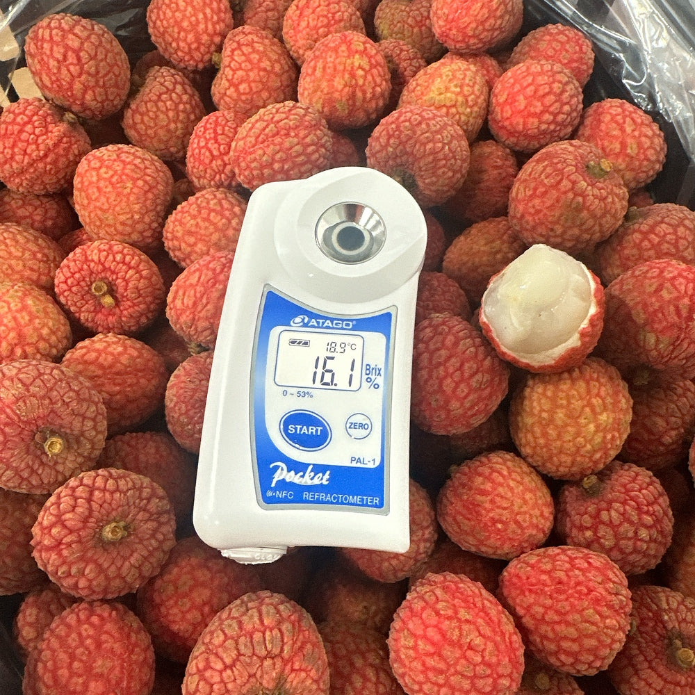 fresh-australian-lychees-approx-5kg-carton-2