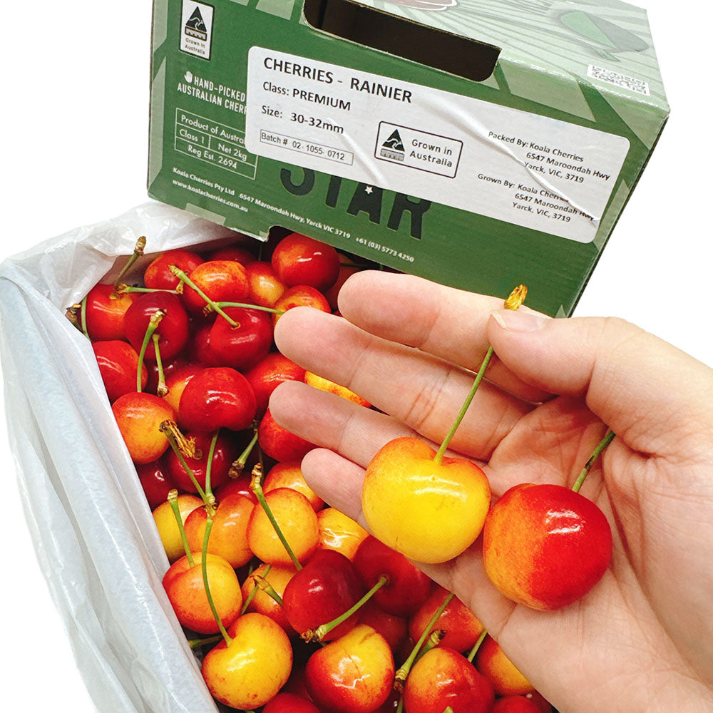 Cherry trắng Rainier Koala 2 kg – vị ngọt thanh, giòn mọng