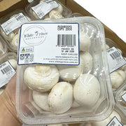 New Arrivals at UMall Australia
