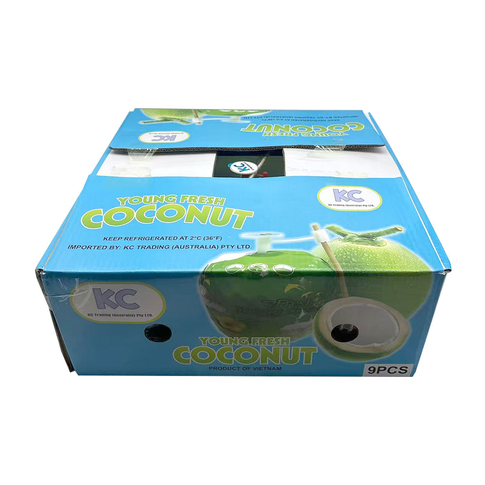 young-fresh-easy-open-young-coconuts-box-of-9-4