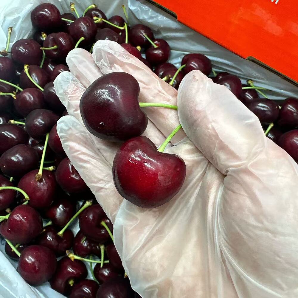pinnacle-estate-samba-cherries-30-32mm-gift-box-2kg-3