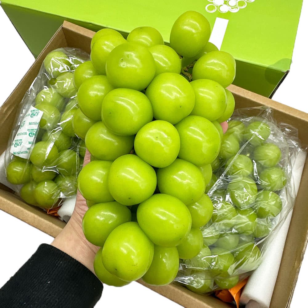 Shine-Muscat-Grapes-–-Air-Freighted-from-China,-Box-2.5kg---Sunshine-Rose-Seedless-Green-Grapes-2