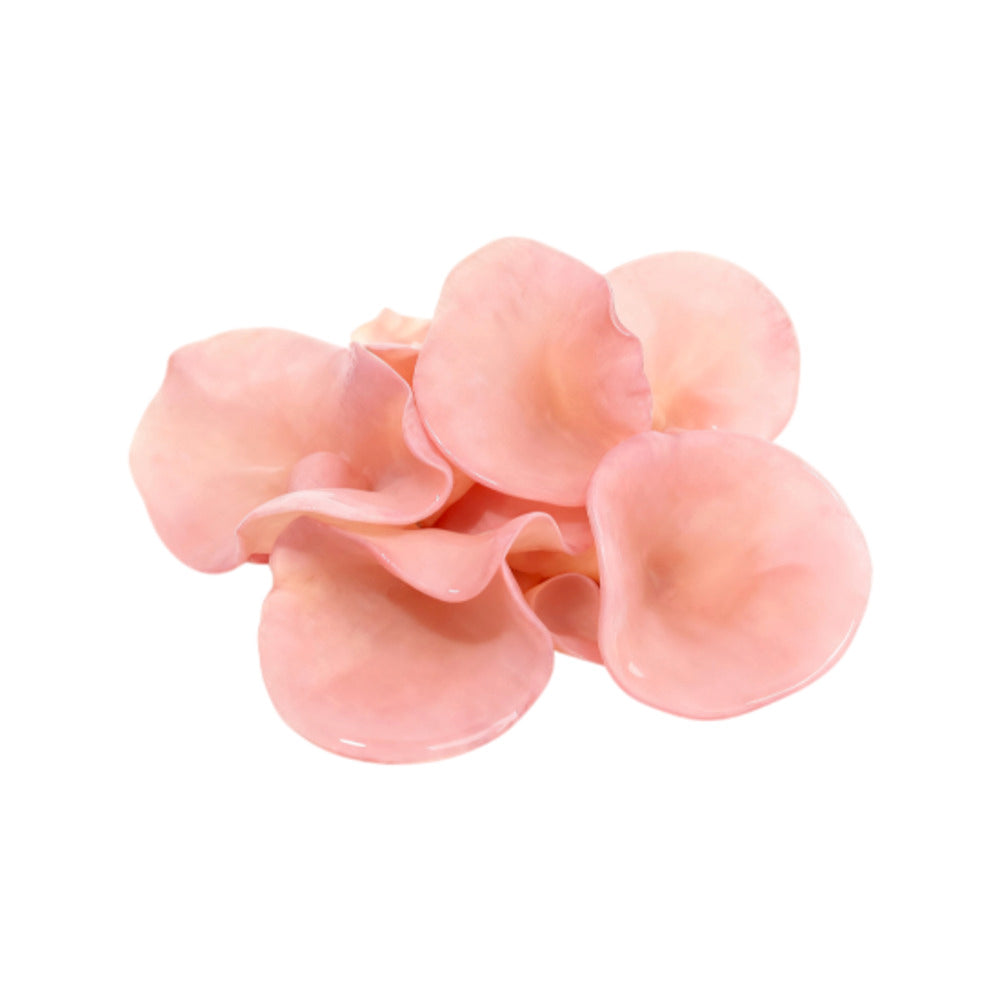 mycoharvest-pink-fungus-100g-guifei-wood-ear-mushroom-rare-variety-2