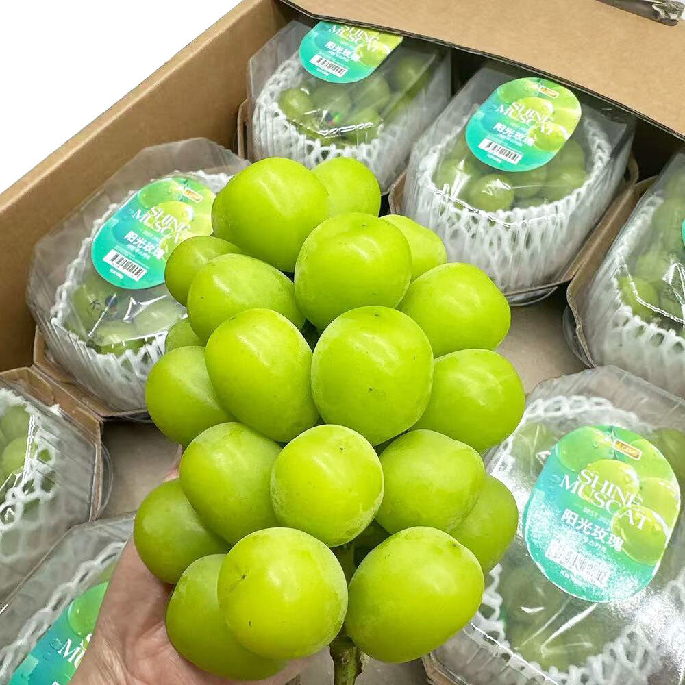 Korean-Premium-Shine-Muscat-Grapes-–-Seedless,-No-Need-to-Peel-–-1-Pack,-approx.-500g-1